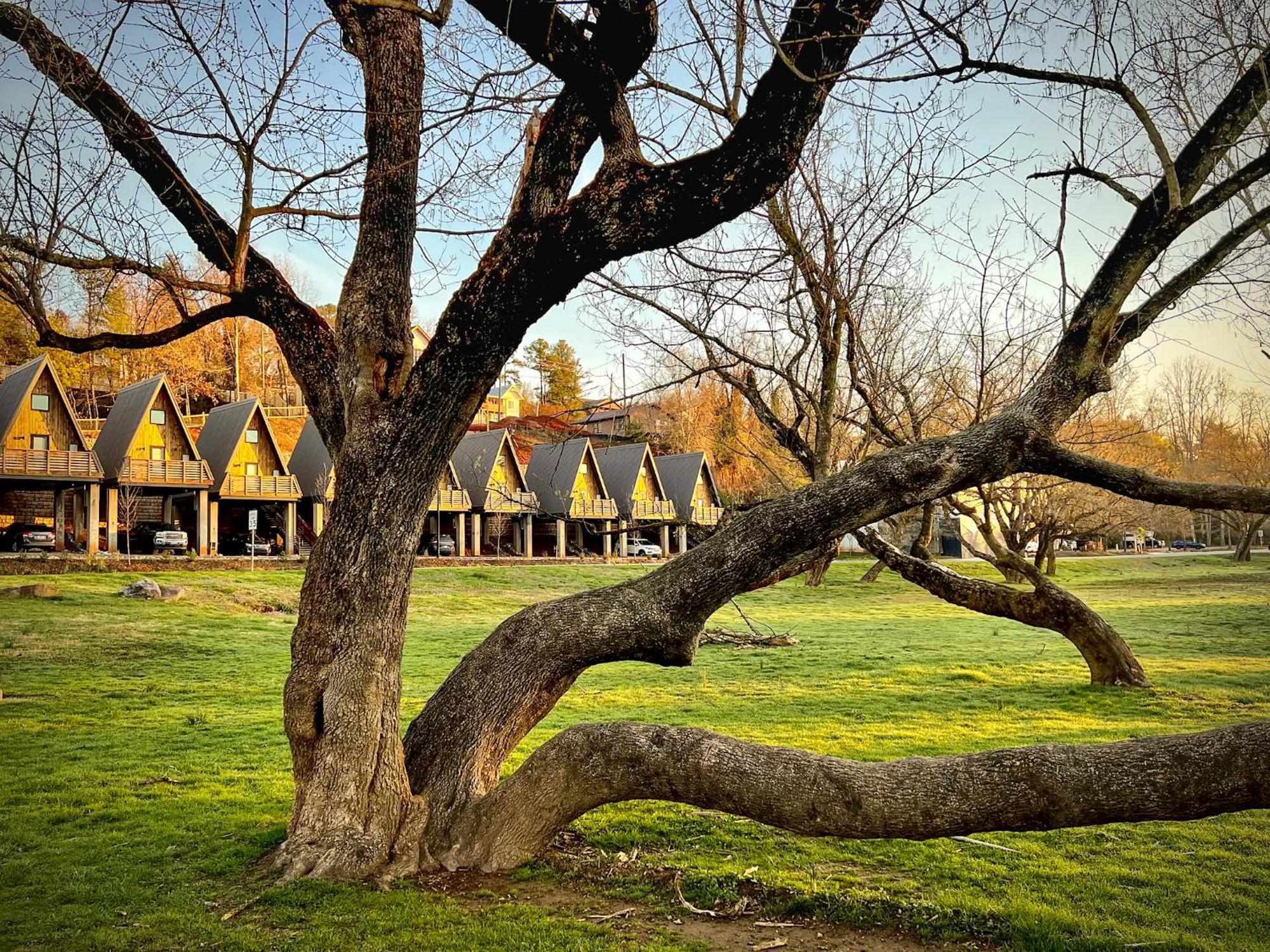 Wrong Way River Lodge & Cabins Asheville Esterno foto